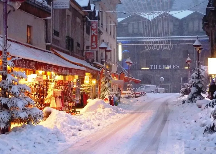 Apartment T2 Au Mont-dore Avec Ascenseur Et Wifi - Fr-1-608-262 Le Mont-Dore