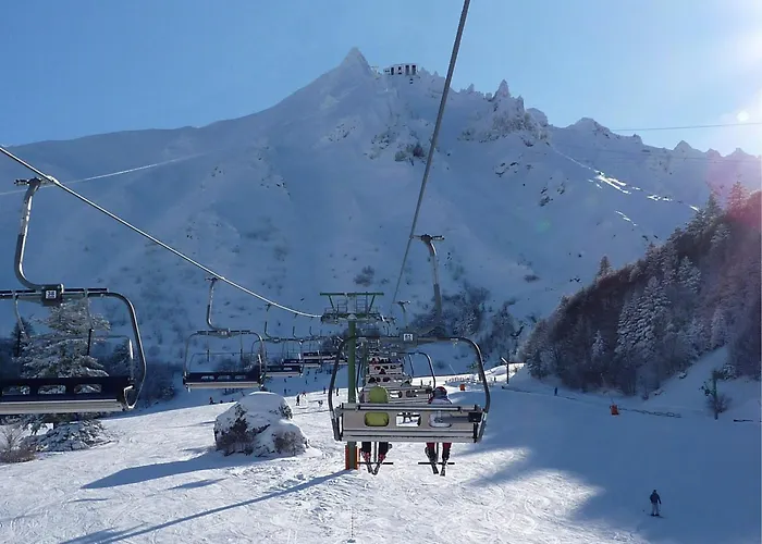 Apartment T2 Au Mont-dore Avec Ascenseur Et Wifi - Fr-1-608-262 Le Mont-Dore